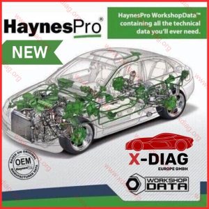 Haynes Pro online 1 year subscription